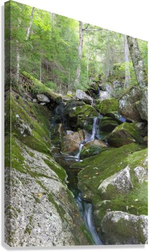Elephant Head Brook - Carroll New Hampshire  Canvas Print