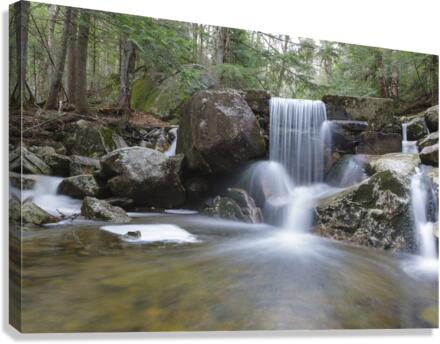 Gibbs Brook - White Mountains New Hampshire Canvas Print