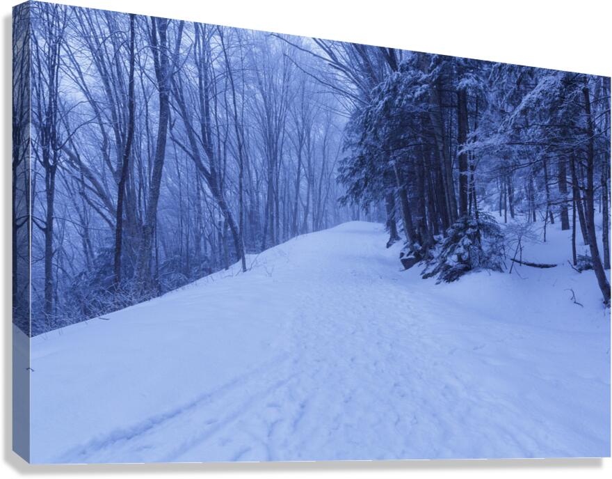 Franconia Notch - White Mountains New Hampshire Canvas Print