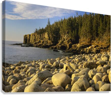 Mount Desert Island Maine - Acadia National Park Canvas Print
