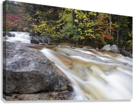 Swift River - White Mountains New Hampshire Canvas Print