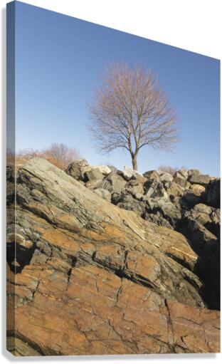 Great Island Common - New Castle New Hampshire Canvas Print