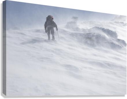 Air Line Trail - White Mountains New Hampshire Canvas Print