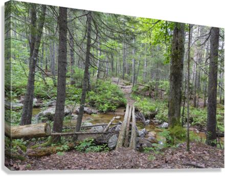 Nancy Pond Trail - Pemigewasset Wilderness New Hampshire  Canvas Print