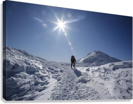 Appalachian Trail - White mountains New Hampshire Canvas Print