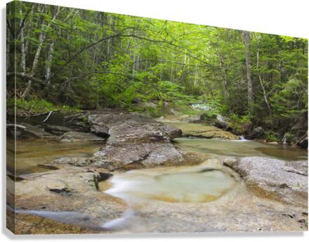 Crystal Brook - Pemigewasset Wilderness New Hampshire Canvas Print