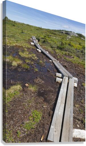 Mount Success - Success New Hampshire Canvas Print