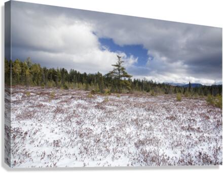 Church Pond - White Mountain National Forest  Canvas Print