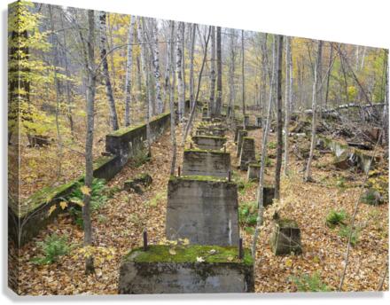 Village of Livermore New Hampshire Canvas Print