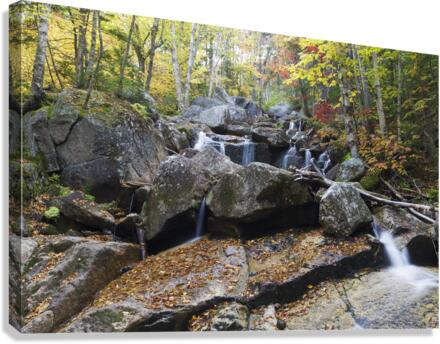 Whitewall Brook - Bethlehem New Hampshire Canvas Print