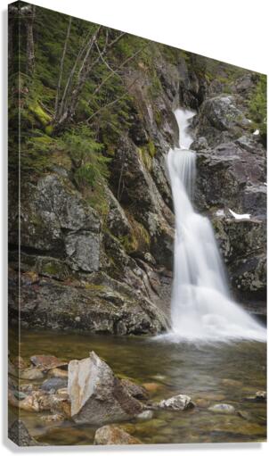 Gibbs Brook - White Mountains New Hampshire  Canvas Print