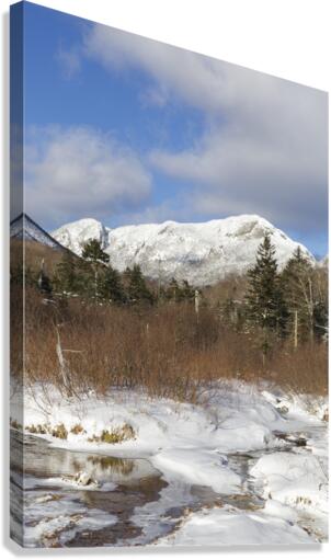 Pemi Trail - Franconia New Hampshire Canvas Print