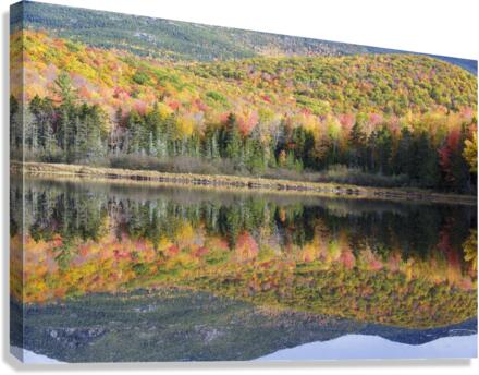 Kiah Pond - Sandwich New Hampshire Canvas Print