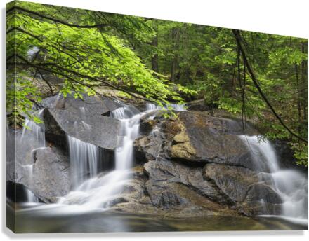 Bearcamp River - Sandwich Notch New Hampshire Canvas Print