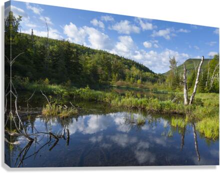 Zealand Pond - White Mountains New Hampshire Canvas Print