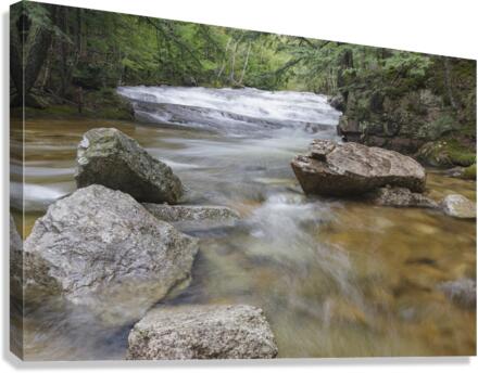 Bartlett Experimental Forest - Bartlett New Hampshire Canvas Print