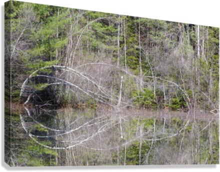 Kancamagus Highway - White Mountains New Hampshire Canvas Print