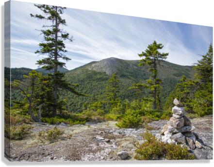 Bicknell Ridge Trail - White Mountains New Hampshire Canvas Print