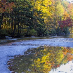 Swift River - White Mountains New Hampshire