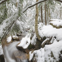 Pemigewasset River - Franconia Notch State Park New Hampshire