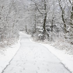 Franconia Bike Path - Franconia Notch New Hampshire