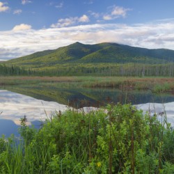 Cherry Mountain - Moorhen Marsh Pondicherry Wildlife Refuge