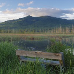 Cherry Mountain - Moorhen Marsh Pondicherry Wildlife Refuge