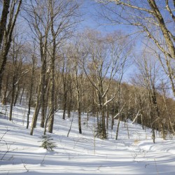 Kinsman Notch - North Woodstock New Hampshire