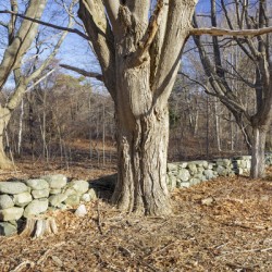 Odiorne Point State Park - Rye New Hampshire