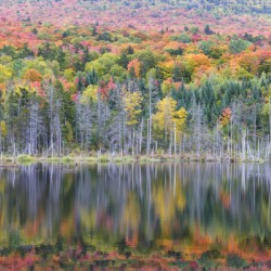 Old Cherry Mountain Road - Carroll New Hampshire