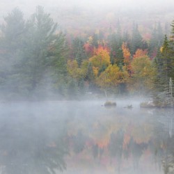 Wildlife Pond - Bethlehem New Hampshire