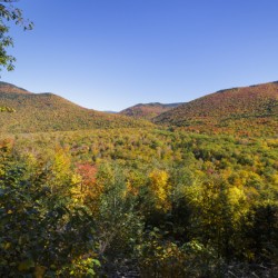 Crawford Notch - Harts Location New Hampshire