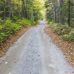 Sandwich Notch Road - Sandwich New Hampshire