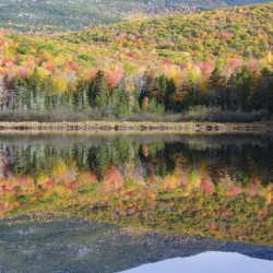 Kiah Pond - Sandwich New Hampshire