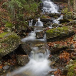 Rollo Fall - Randolph New Hampshire