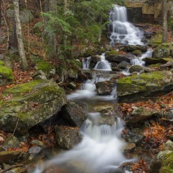 Rollo Fall - Randolph New Hampshire
