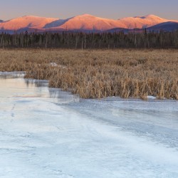 Pondicherry Wildlife Refuge - Jefferson New Hampshire