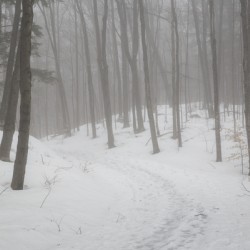Flume Gorge - Lincoln New Hampshire