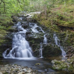 Gordon Fall - Randolph New Hampshire 