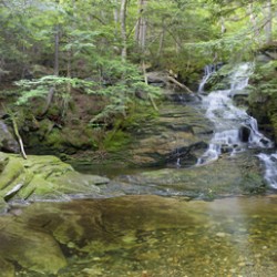 Tama Fall - Randolph New Hampshire 