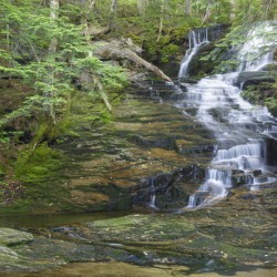Tama Fall - Randolph New Hampshire 