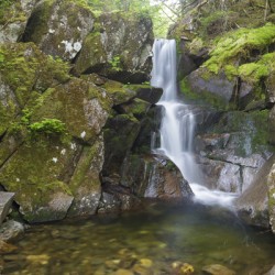 Duck Fall - Low and Burbanks Grant New Hampshire 