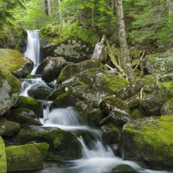 Cold Brook - Low and Burbanks Grant New Hampshire