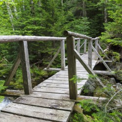 Randolph Path - Low and Burbanks Grant New Hampshire