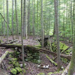 Breezy Point - Warren New Hampshire