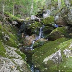 Elephant Head Brook - Carroll New Hampshire 