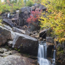 Zealand Falls - Bethlehem New Hampshire