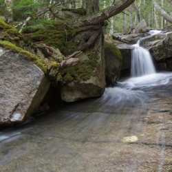 Whitehouse Brook - Lincoln New Hampshire