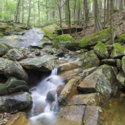 Pollard Brook - Lincoln New Hampshire