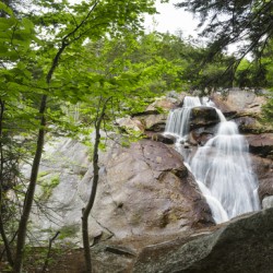 Harvard Brook - Lincoln New Hampshire